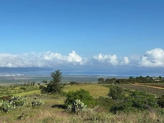 Vacant Land in Kula - Kula, Hawaii, 96790