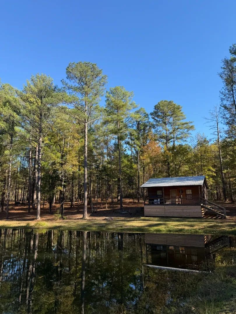 37.83 Acres with a Cabin in Oktibbeha County, MS 