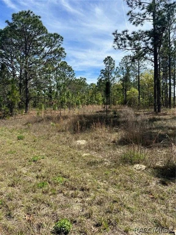 Lots & Land-Other in Dunnellon - Dunnellon, Florida, 34434