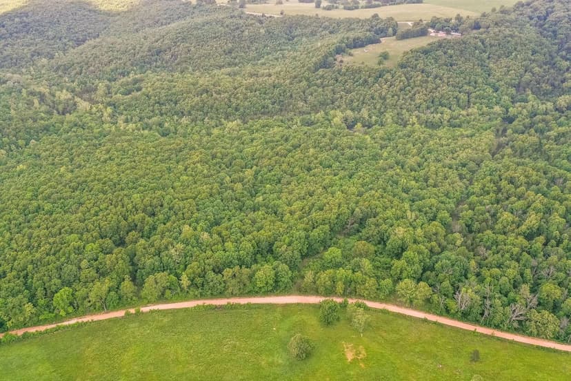 Lots & Land-Other in Drury