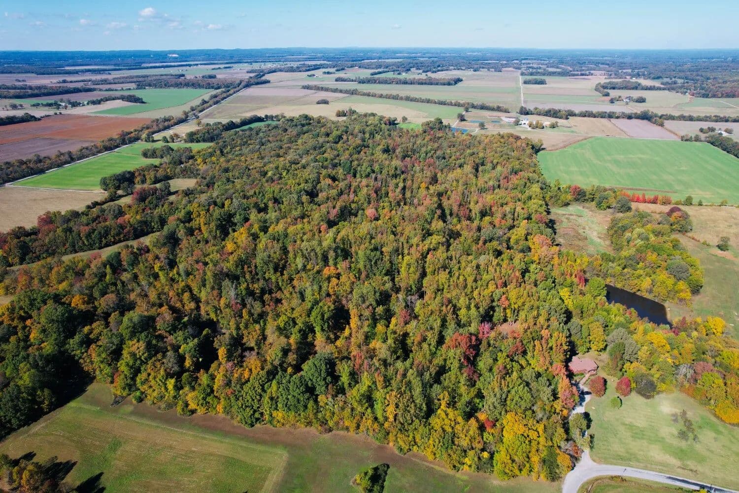 99 +/- ac | Hunting | Potential Build Site - Villa Ridge, Illinois, 62996