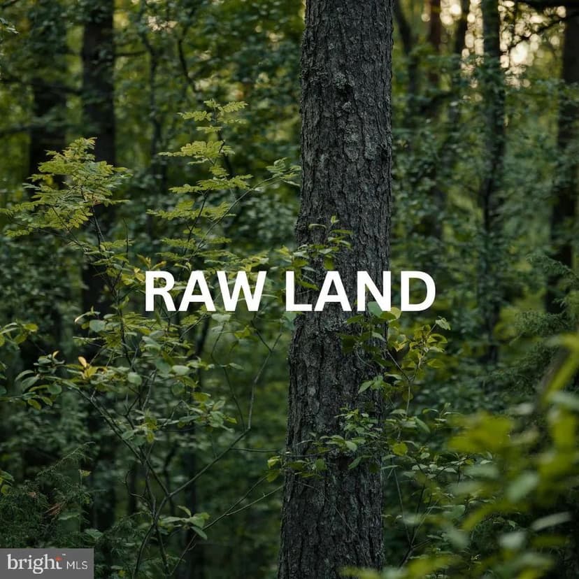 Vacant Land in Mineral
