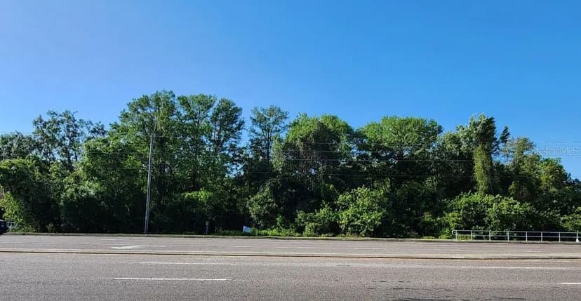 Property from SR 54 - KW