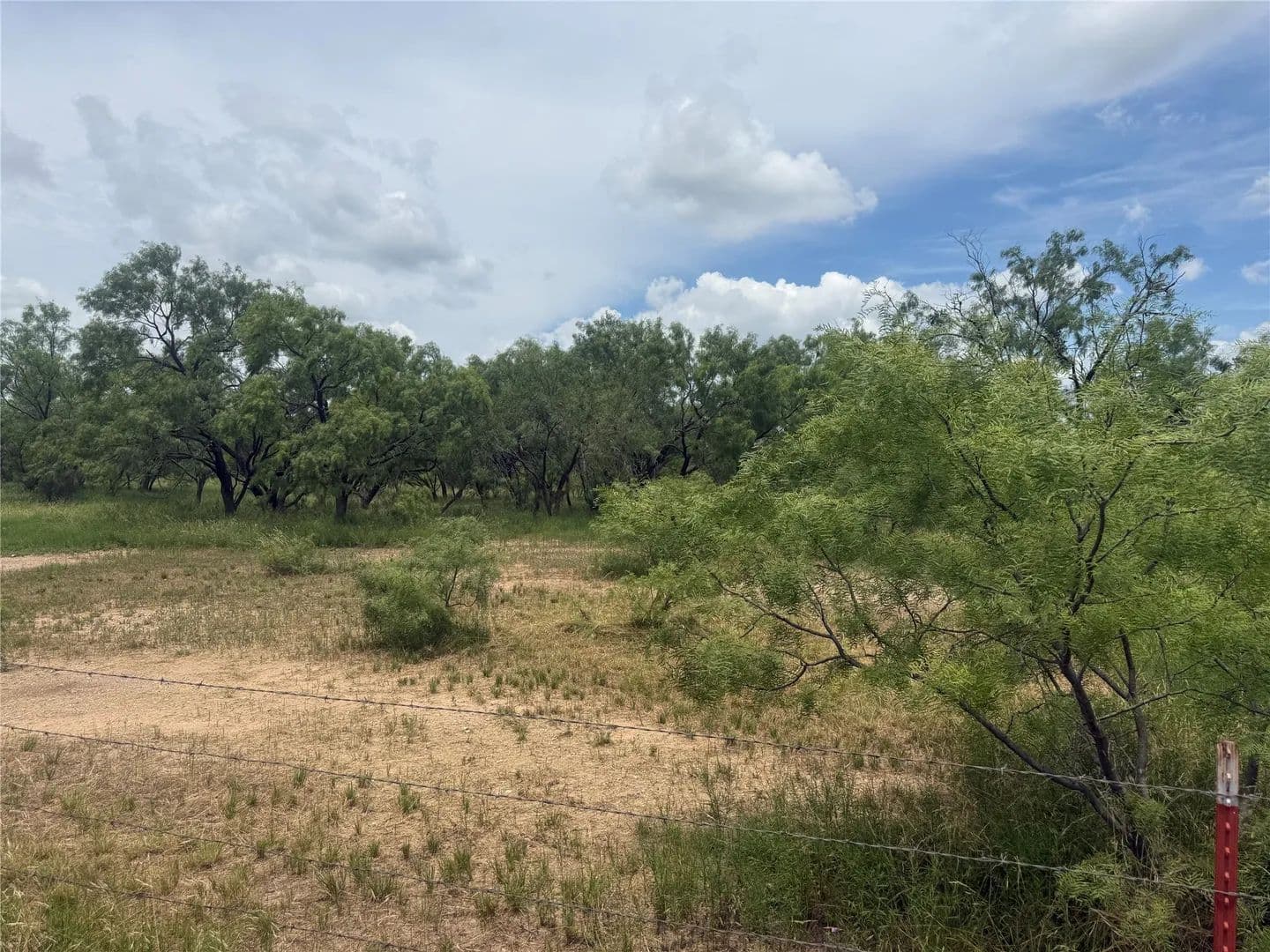 Property from TBD Coppic Ranch Road - KW - Brownwood, Texas, 76801
