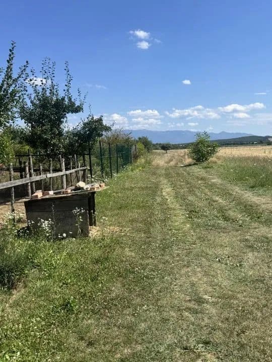 Teren 720 mp Seviș | 23 m front | Oportunitate investiție 24.480€ - land for sale