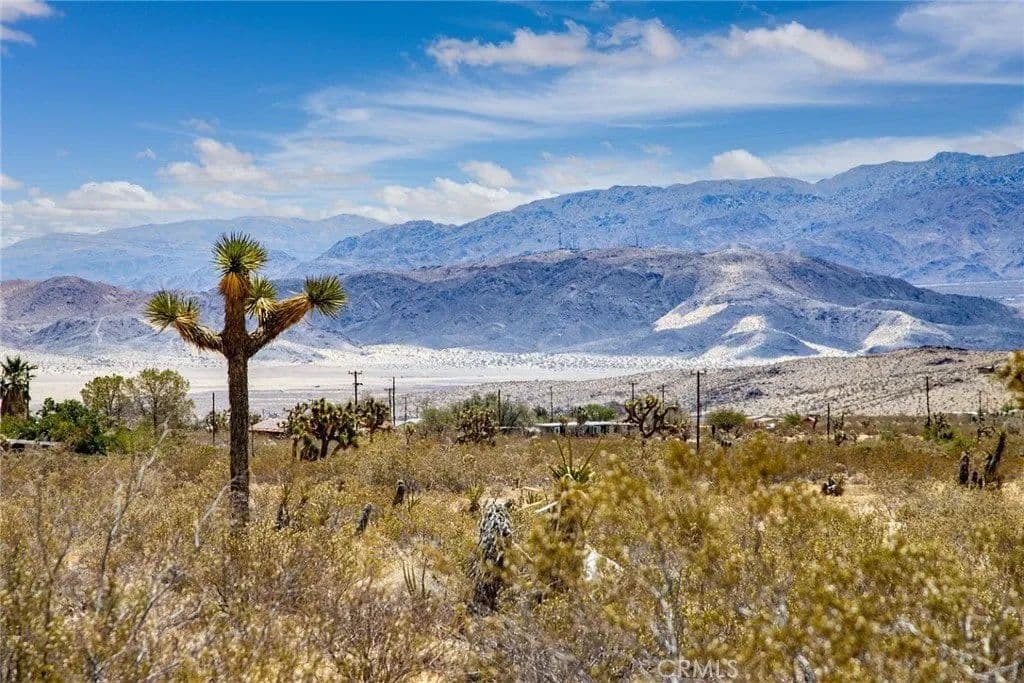 Lots & Land-Other in Joshua Tree - Joshua Tree, California, 92252