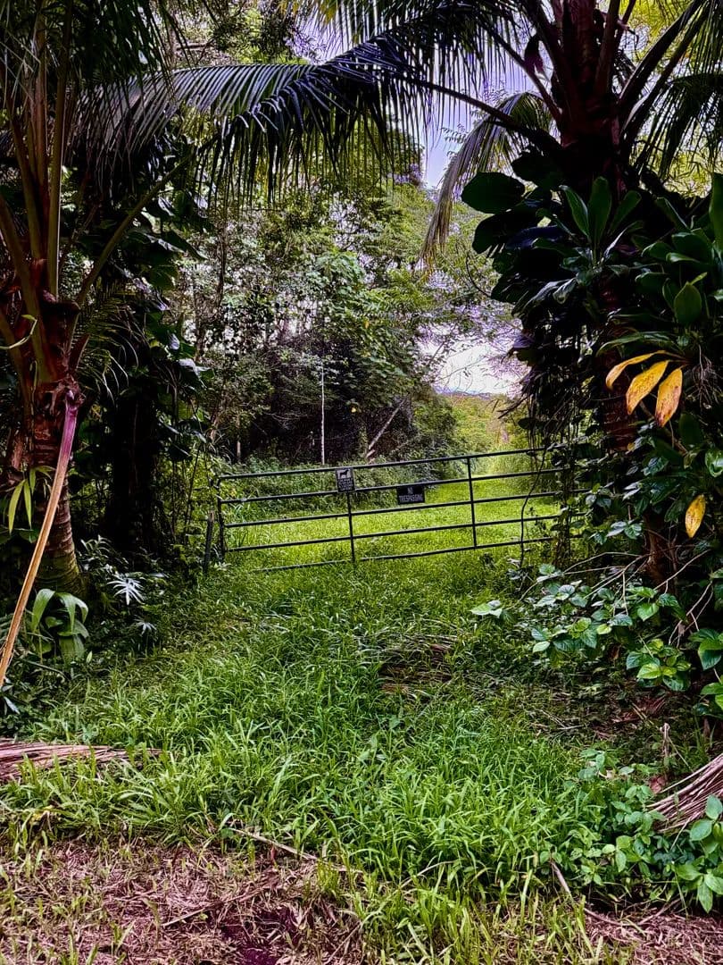 Vacant Land in Pahoa - Pahoa, Hawaii, 96778