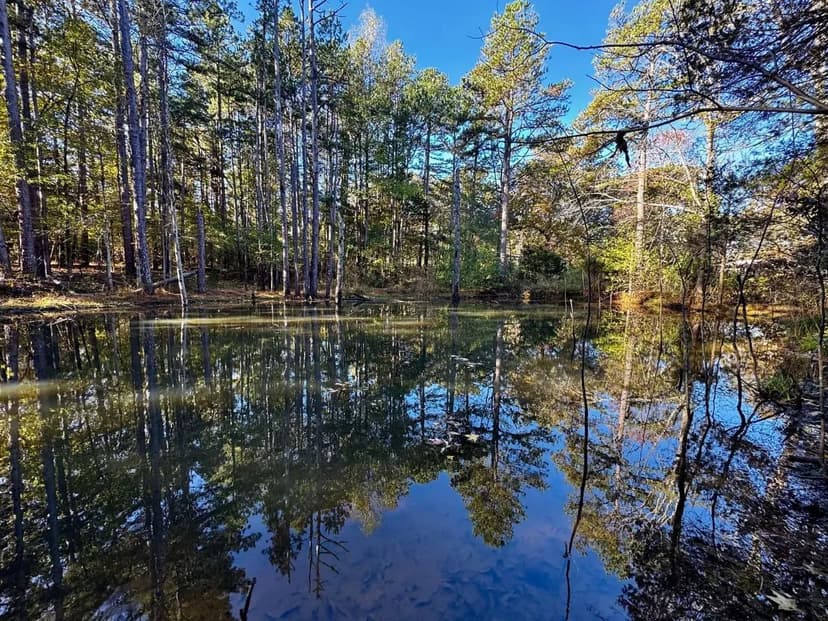 Beautiful 11+/- AC with Pond For Sale in Ripley Co.