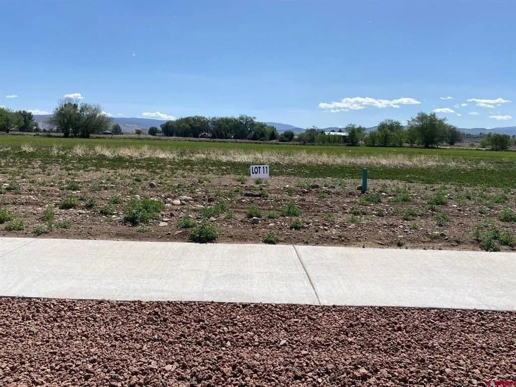Vacant Land in Montrose - Montrose, Colorado, 81401