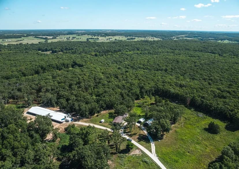 Cage Free Chicken Farm