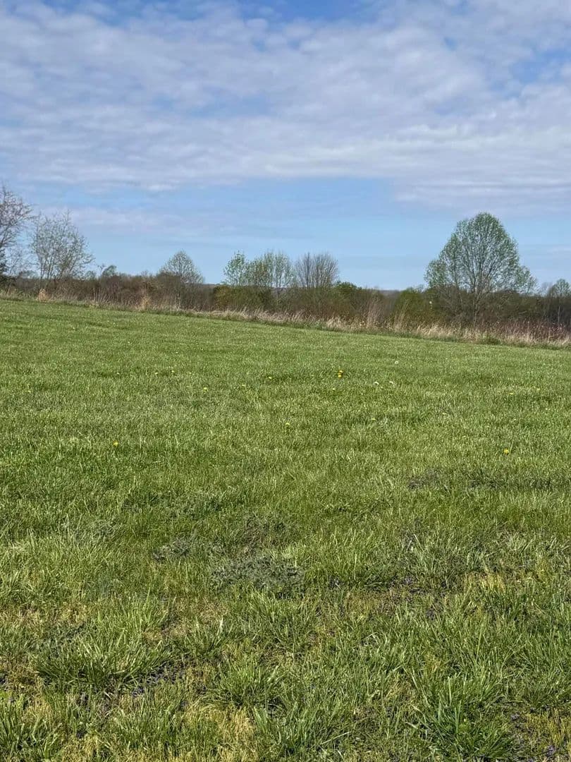 Vacant Land in Wheelersburg