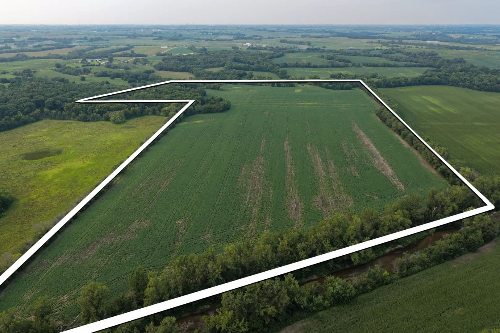 Ringgold County IA Farmland for Sale | Tract 8: 98.7± Acres - Redding, Iowa, 50860