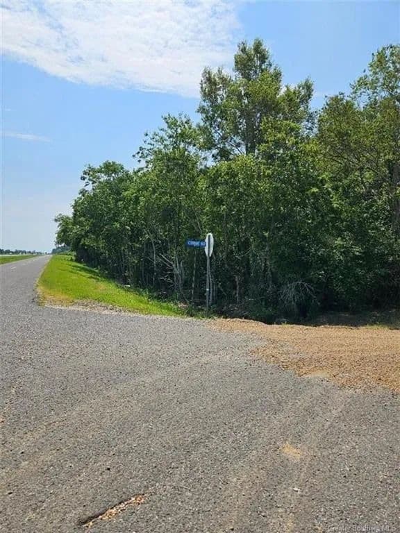 Vacant Land in Welsh - Welsh, Louisiana, 70591