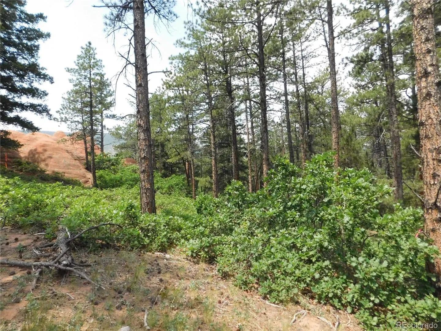 1 Acre of Land for Sale in Larkspur, CO - Larkspur, Colorado, 80118