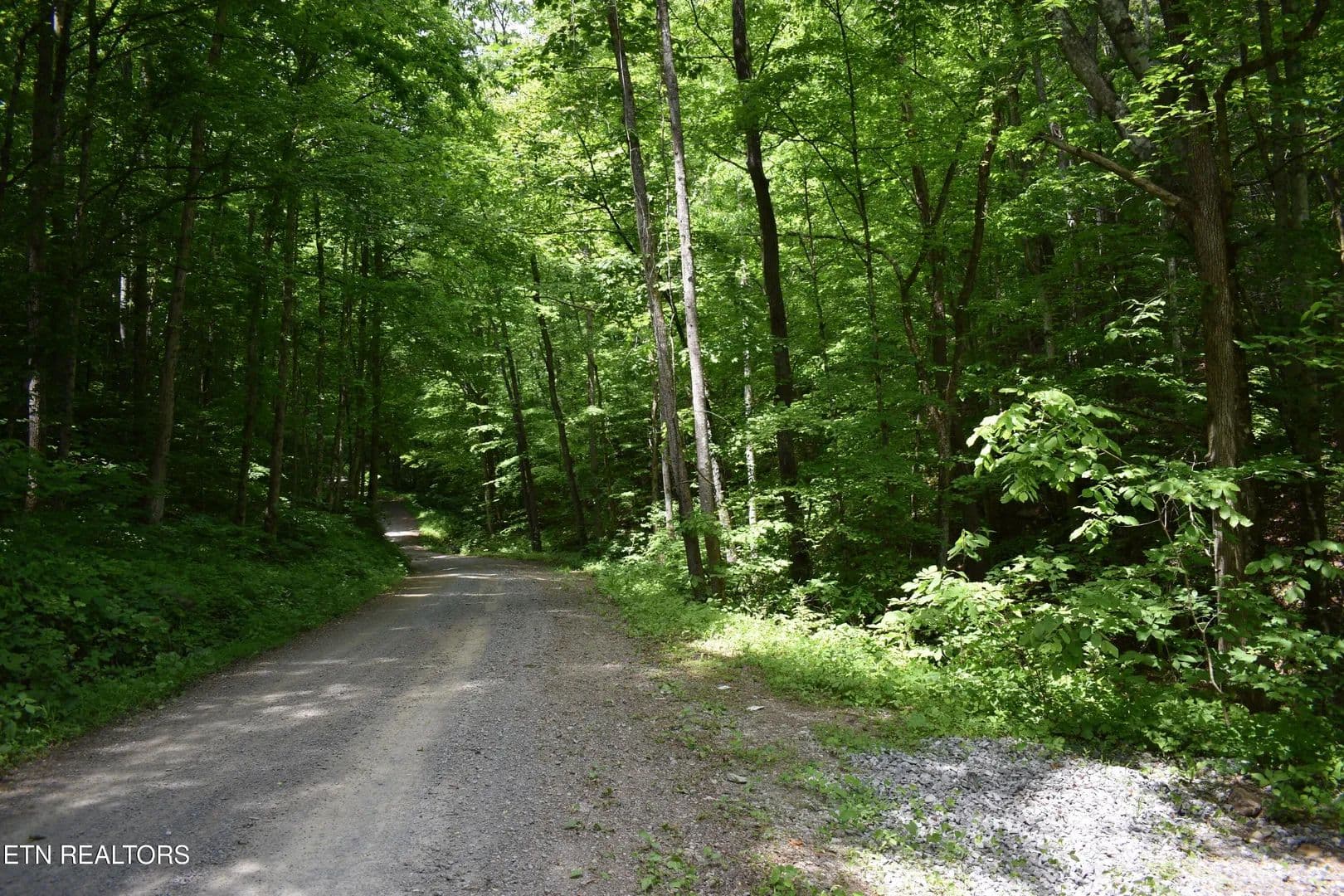 Lots & Land-Other in Ewing - Ewing, Virginia, 24248