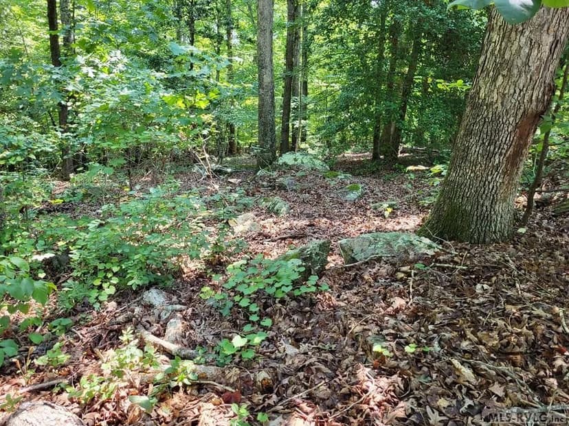 Vacant Land in Ebony