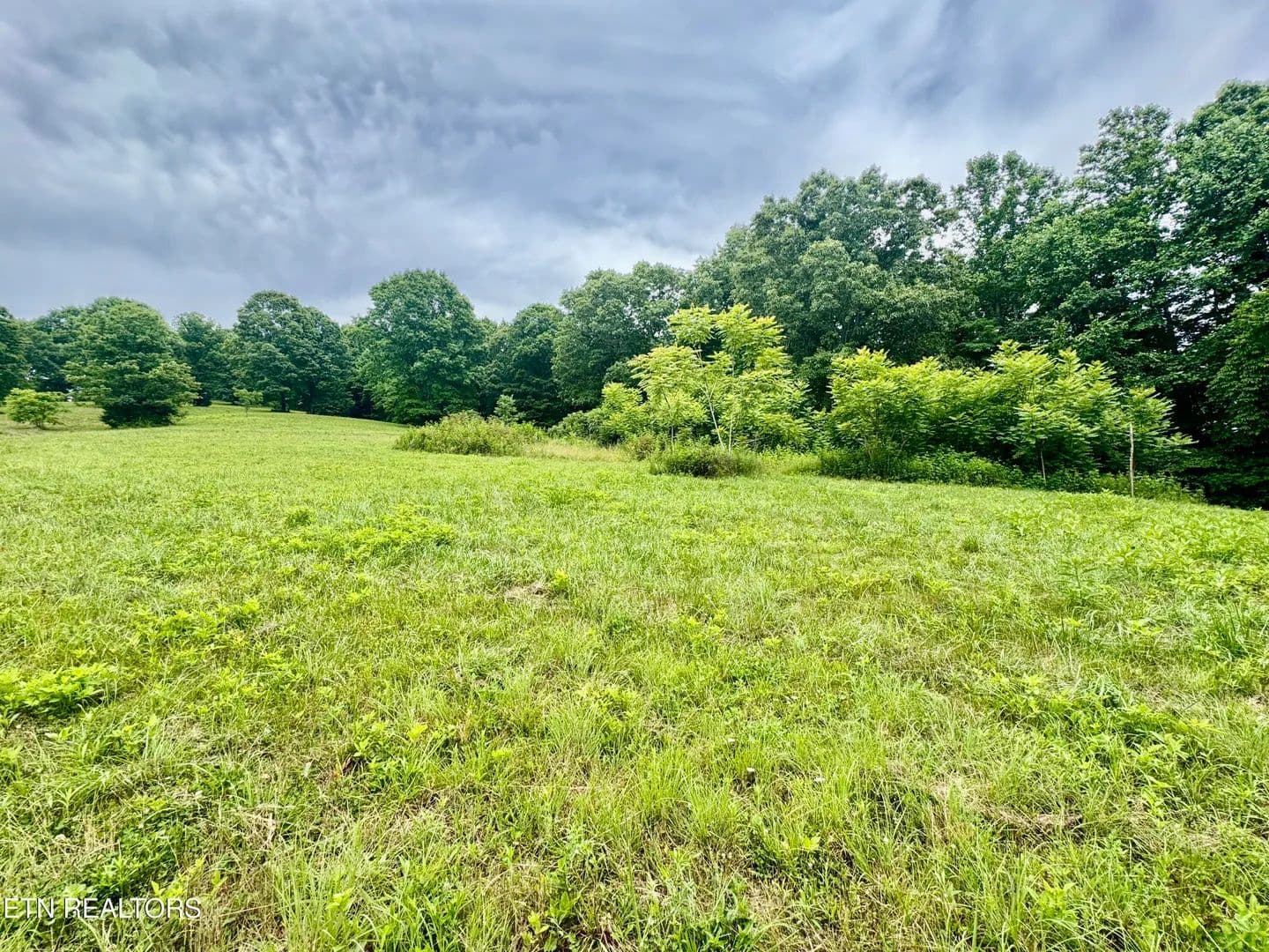 18 Acres of Land for Sale in New Tazewell, TN - New Tazewell, Tennessee, 37825