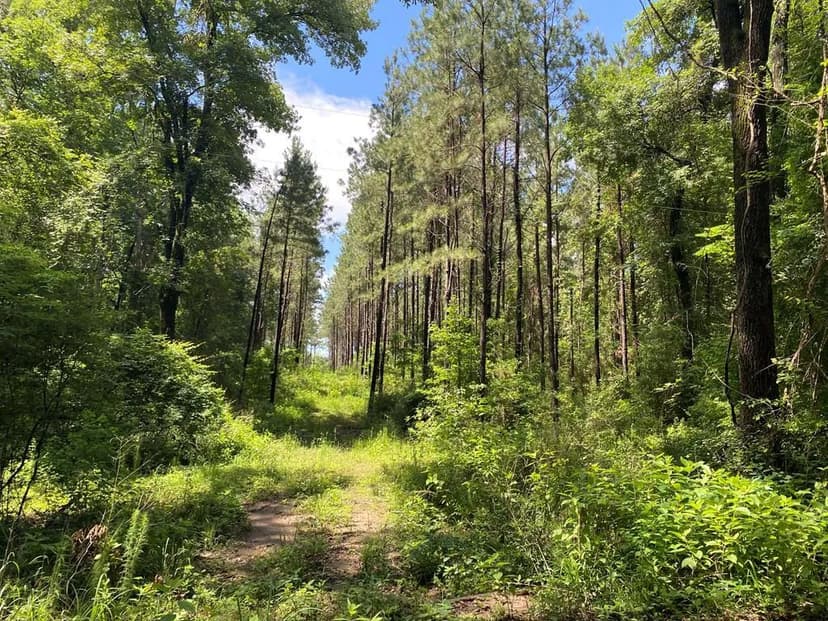 Lots & Land-Other in Joaquin