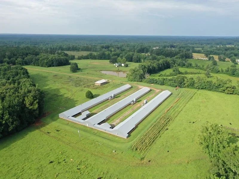 High Point Farm – Three House Breeder Farm – Clarke County, MS - land for sale