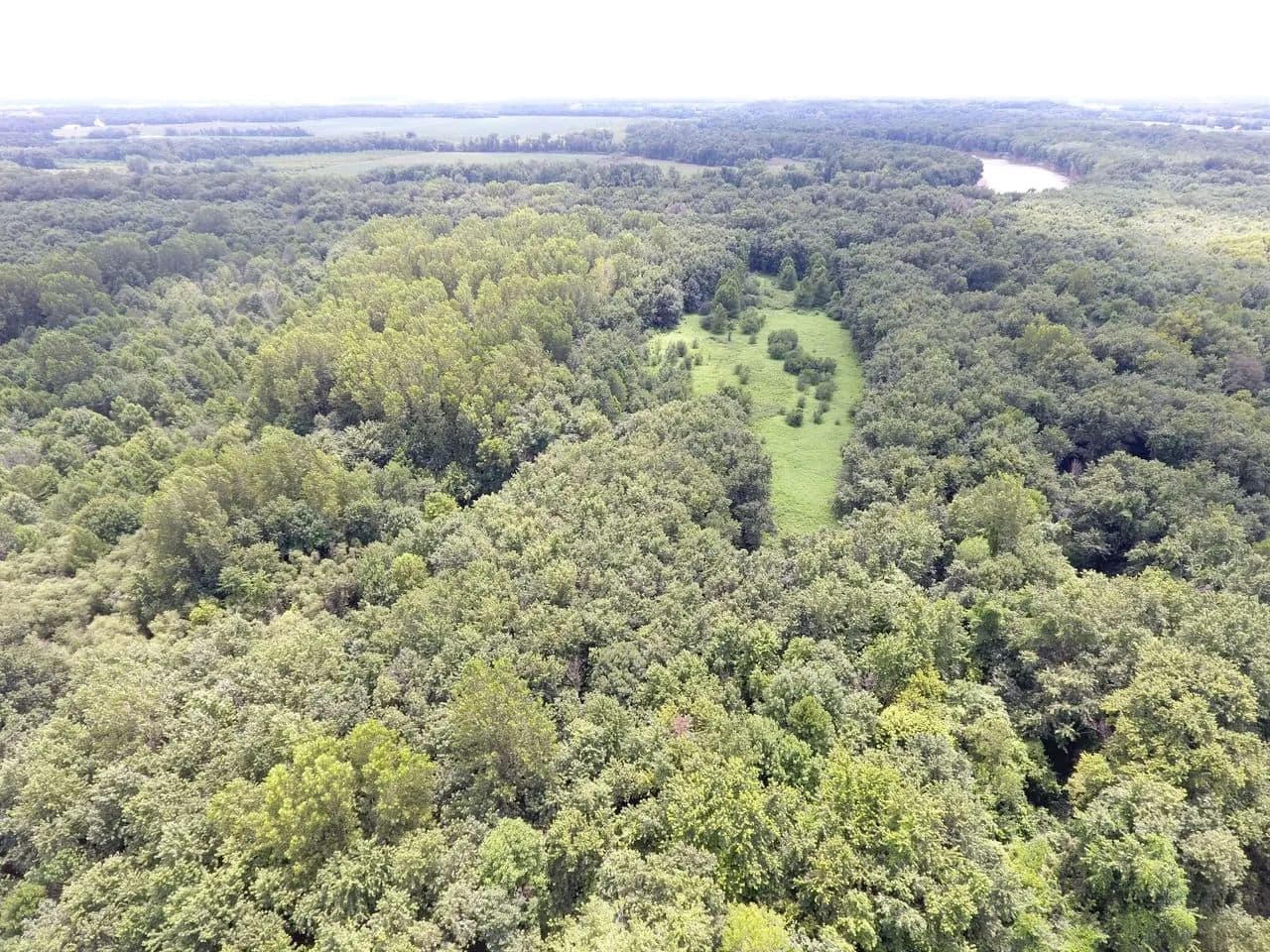 East Flat Rock 52.5 - Flat Rock, Illinois, 62427