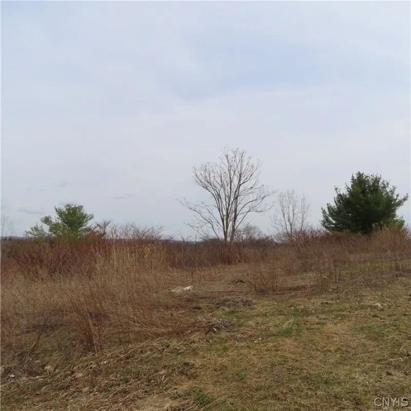Land -Single Family Acreage in Fayetteville - Fayetteville, New York, 13066