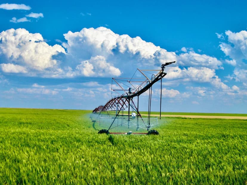 Valier Irrigated Farm and Feedlot
