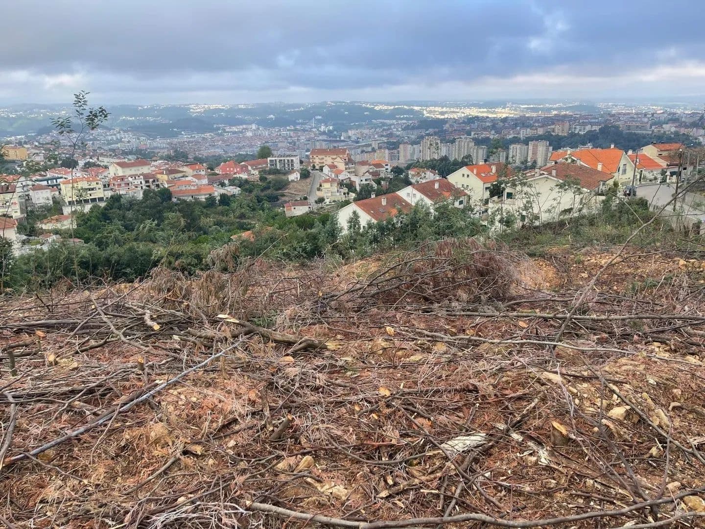 2000 Acres of Land for Sale in Santo António dos Olivais, Coimbra - land for sale