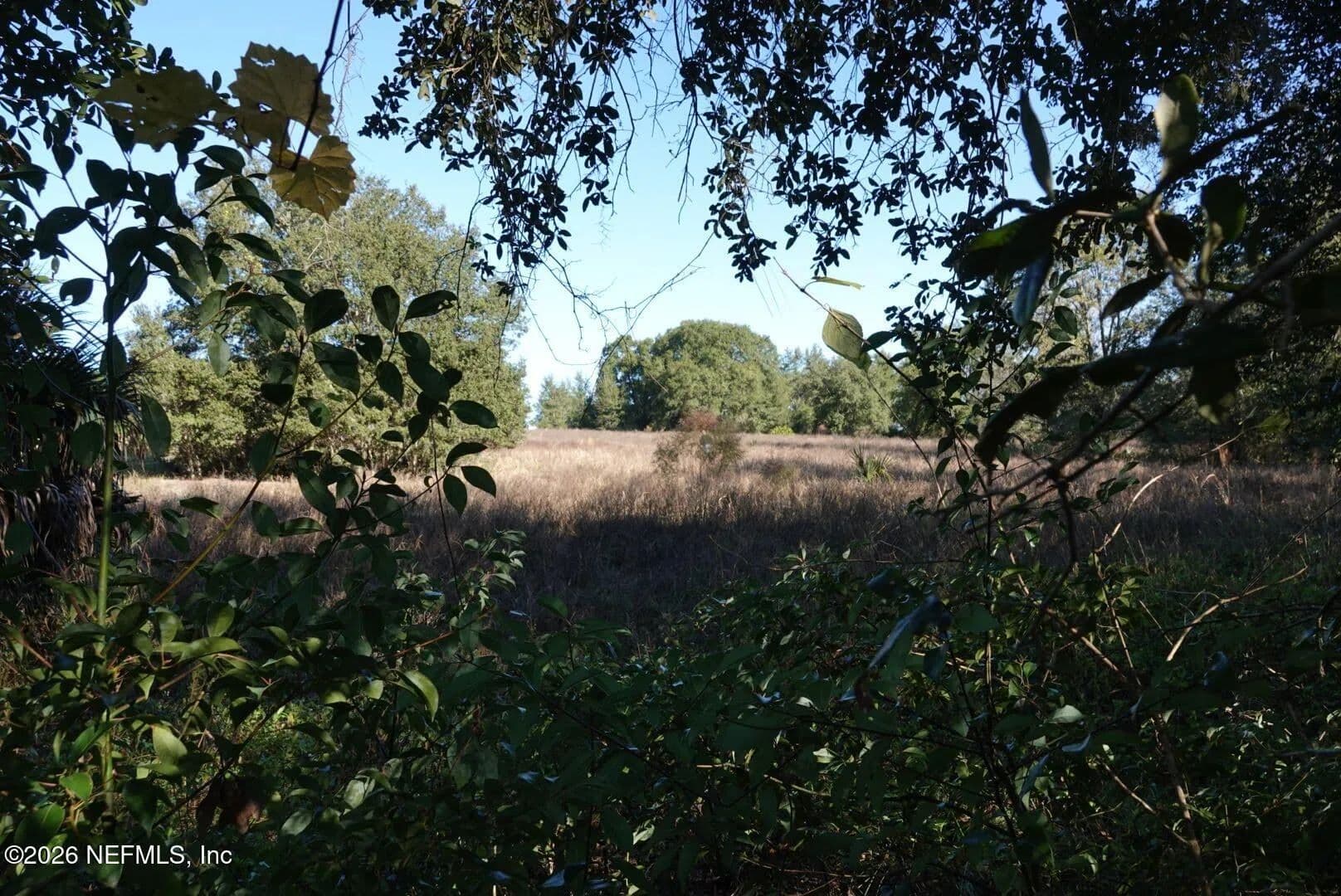 Vacant Land in Seville - Seville, Florida, 32190