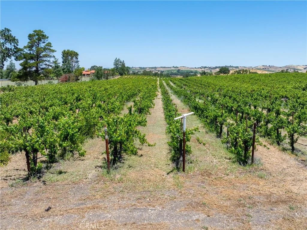 23.12 Acres of Land for Sale in Templeton, California - Templeton, California, 93465