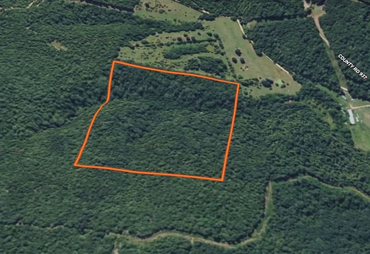 Hwy 412 40 acres - Green Forest, Arkansas, 72638