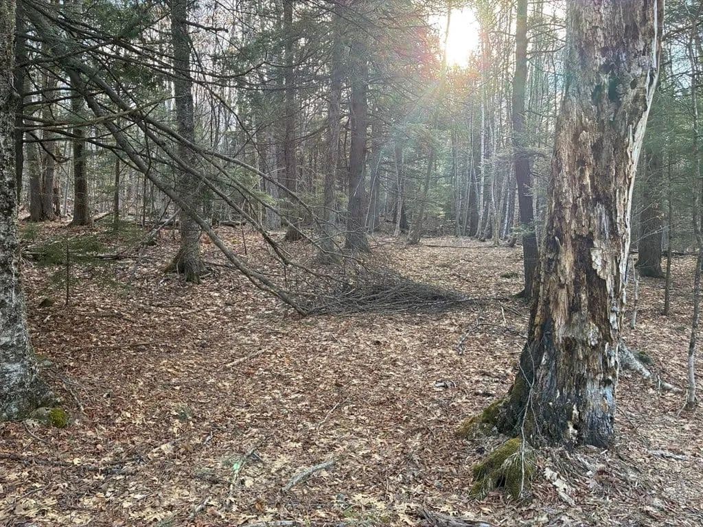 Lots & Land-Other in Rowe - Rowe, Massachusetts, 01367