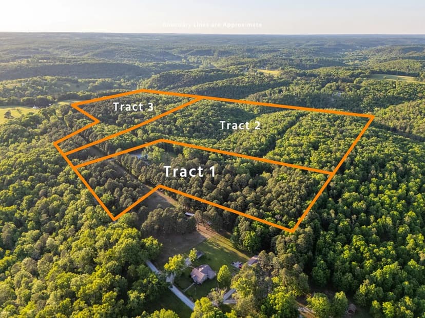 16051 Forrest Dr, Houston, Texas County, MO 65483 Real Estate for Sale at Auction – Kessler Property