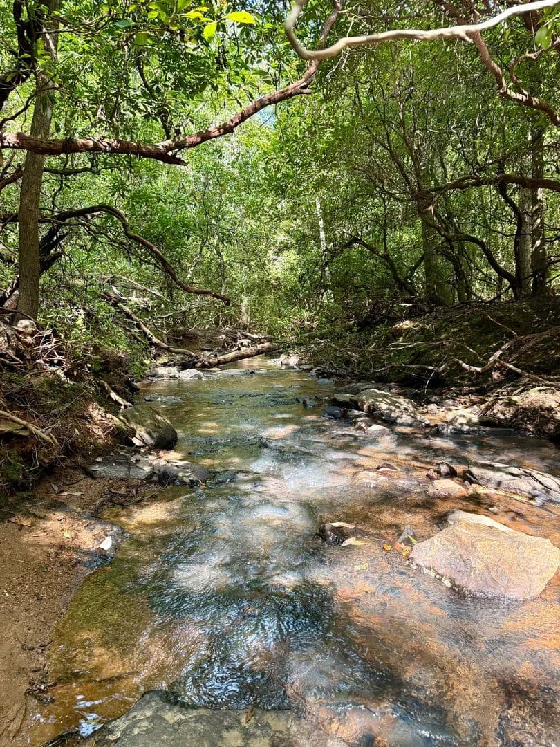11.68 acres on Metcalf Creek - Ashland, Alabama, 36251