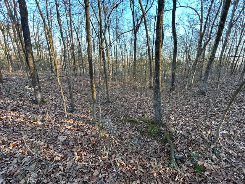 7.81 Acres Tract 5] in Polk County, AR