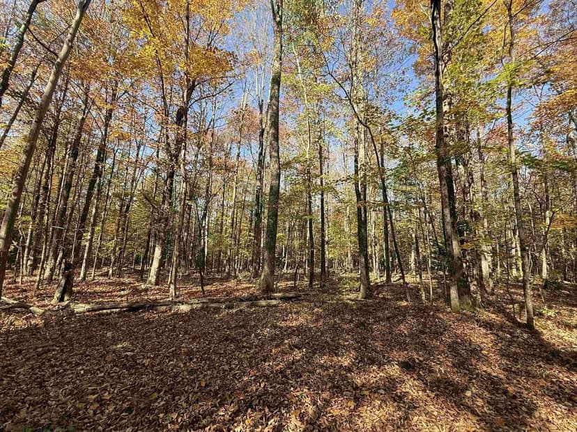 Lots & Land-Other in Newport Town