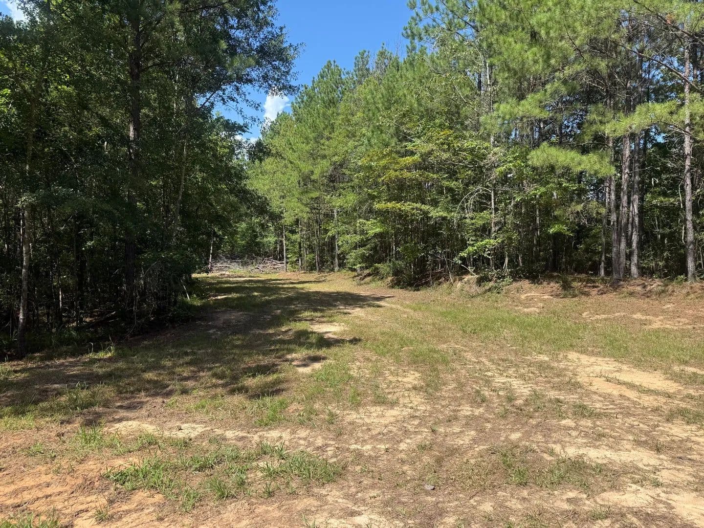 38 +/- ac on Hwy 231 - Rockford, Alabama, 35135