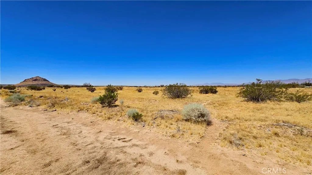0.24 Acres of Land for Sale in California City, CA - land for sale