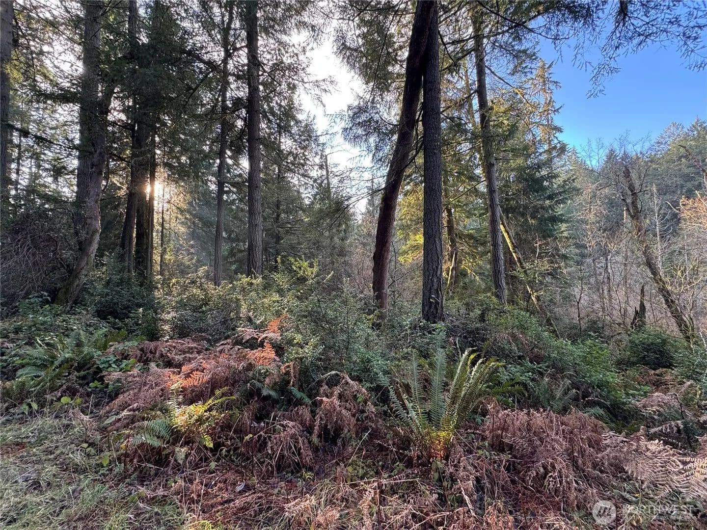 Vacant Land in Anderson Island - Anderson Island, Washington, 98303