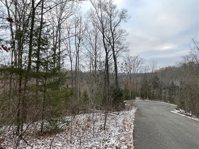 Land -Single Family Acreage in Monticello - Monticello, Kentucky, 42633