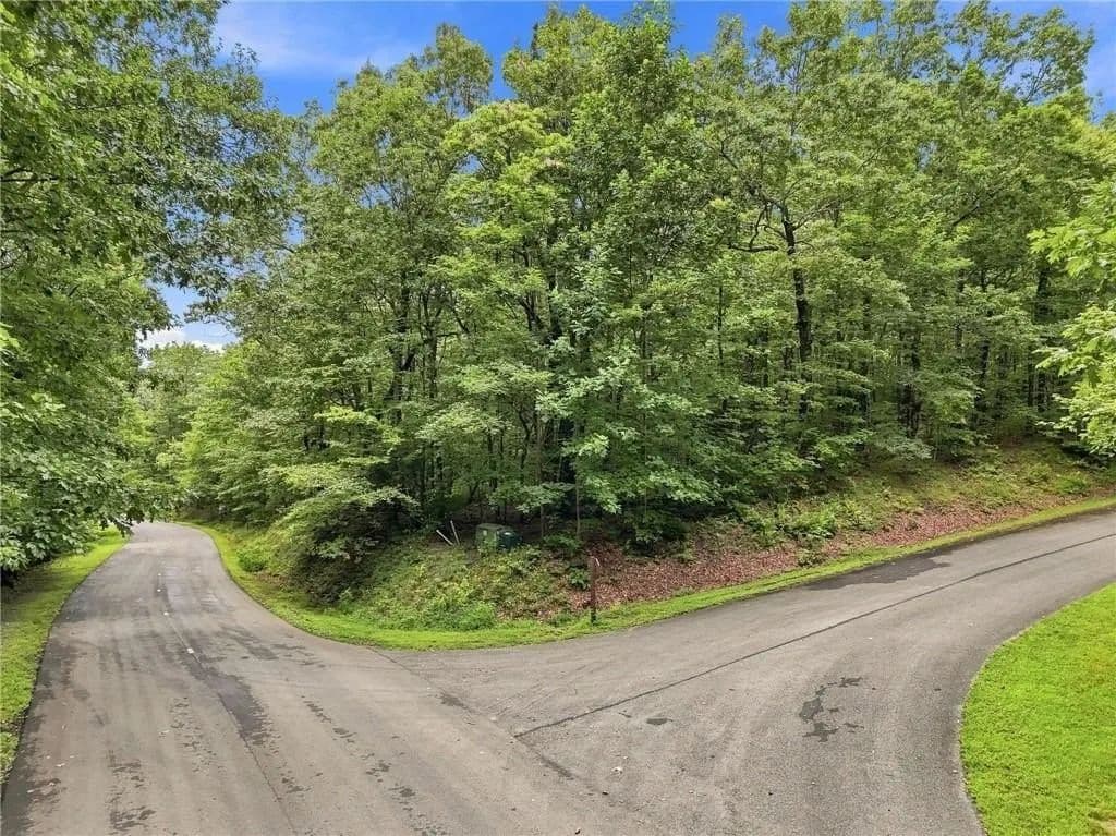 Lots & Land-Other in Ellijay - Ellijay, Georgia, 30536