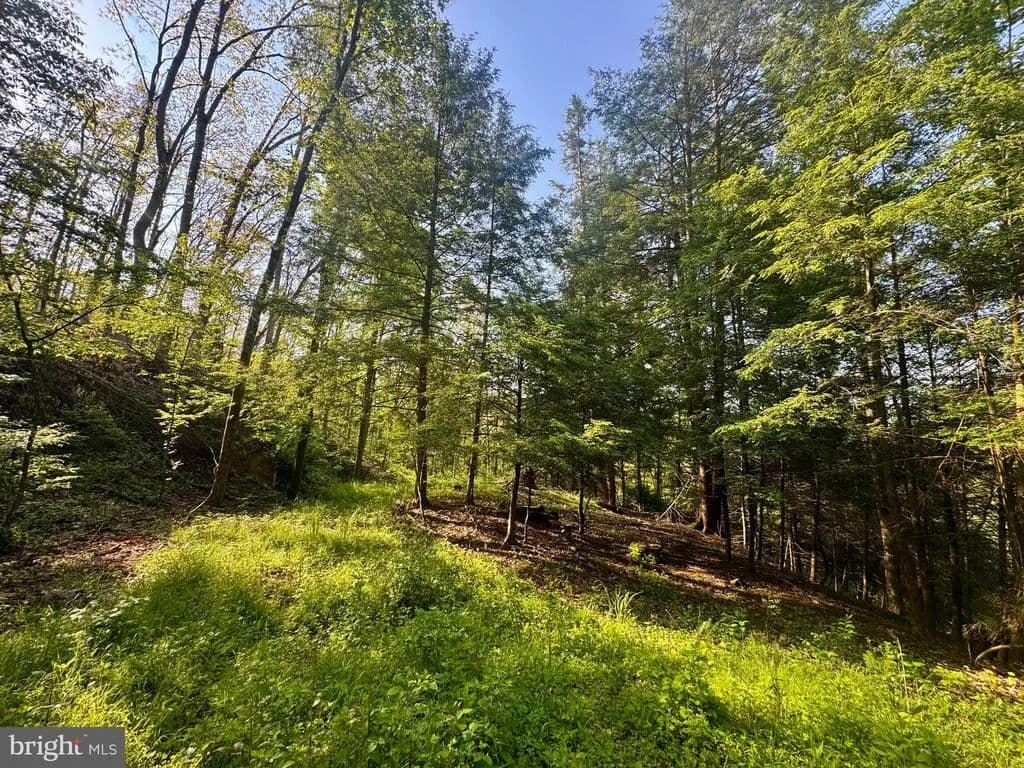 Property from TRACT A - JOHN ORR ROAD - KW - Independence, West Virginia, 26374