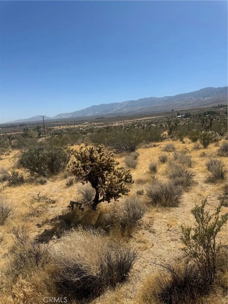 Vacant Land in Lucerne Valley - Lucerne Valley, California, 92356