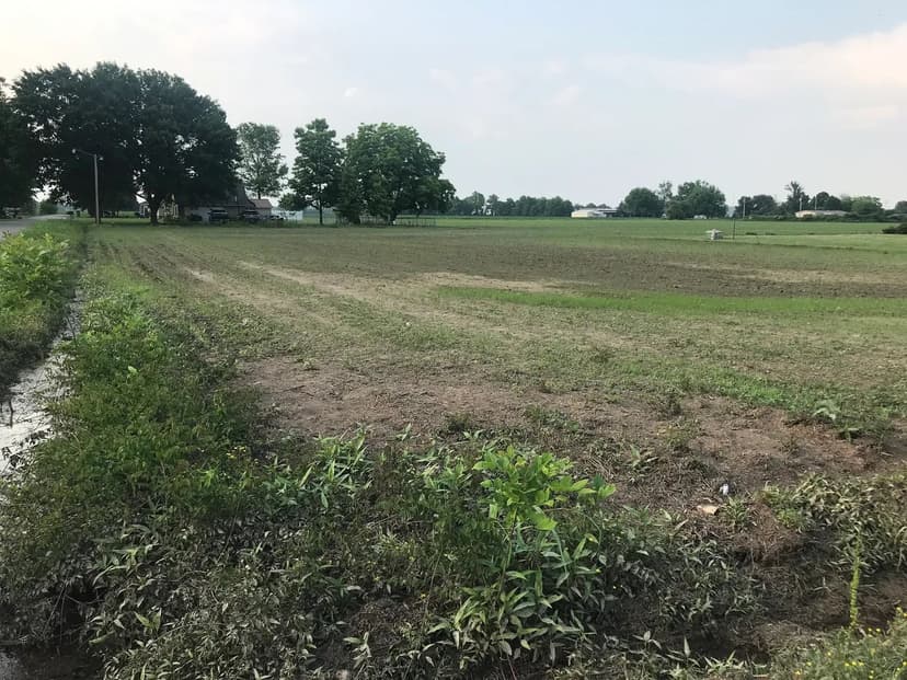 Land -Single Family Acreage in Blytheville