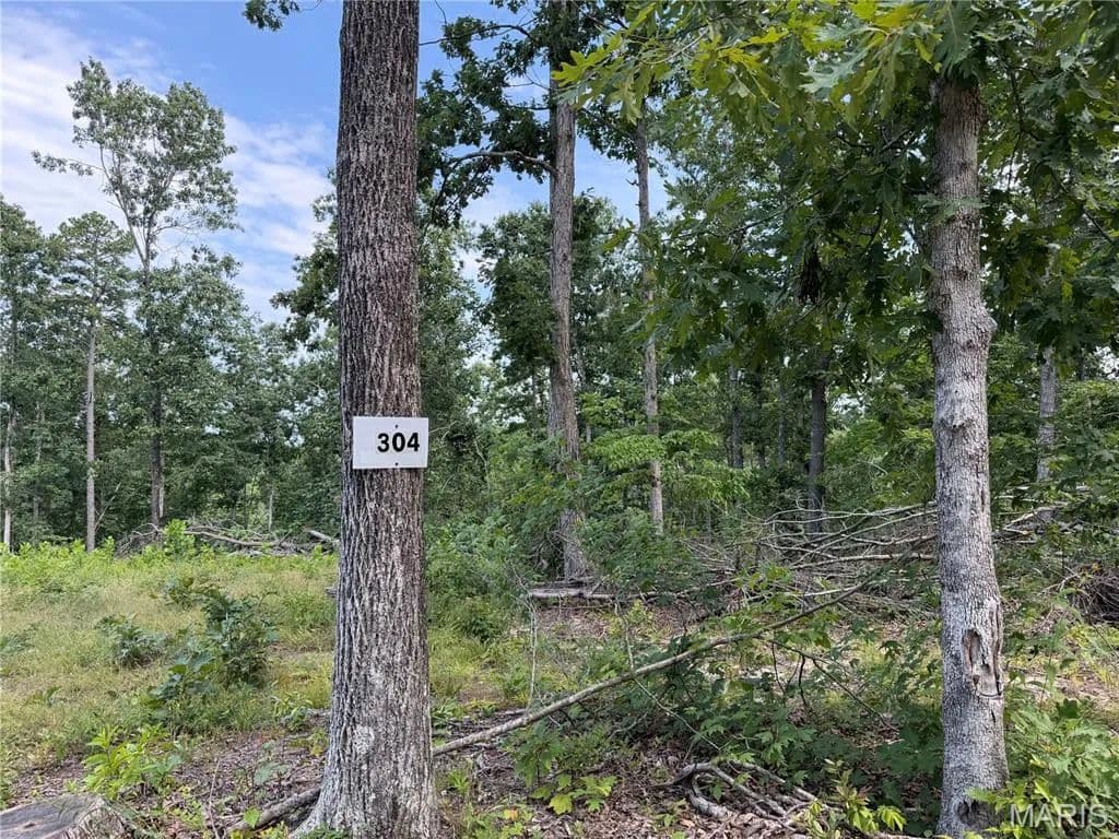 Lots & Land-Other in Fredericktown - Fredericktown, Missouri, 63645