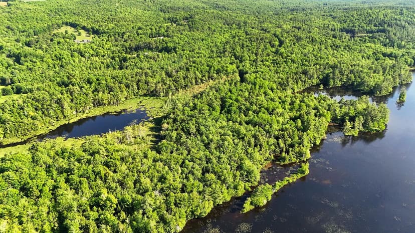 Vacant Land (0-10 Acres) in Palermo