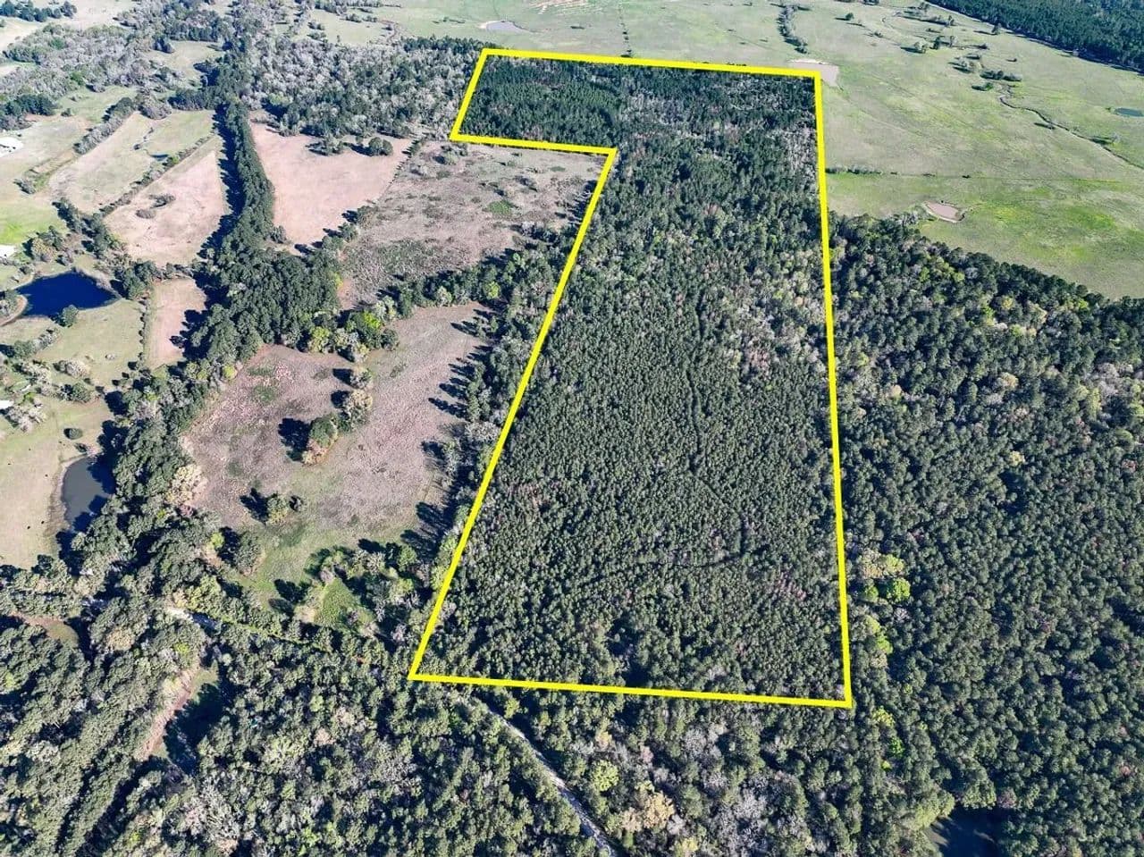 111 Acres | Bishop Road - Huntsville, Texas, 77320