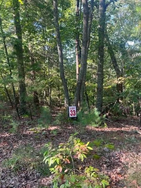 Lots & Land-Other in Ellijay - Ellijay, Georgia, 30540