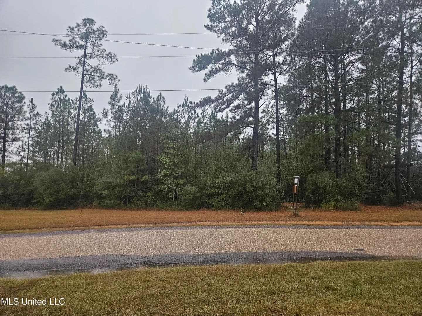 Vacant Land in Perkinston - Perkinston, Mississippi, 39573