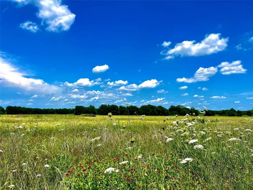 Property from Lot 7 CR-590 - KW