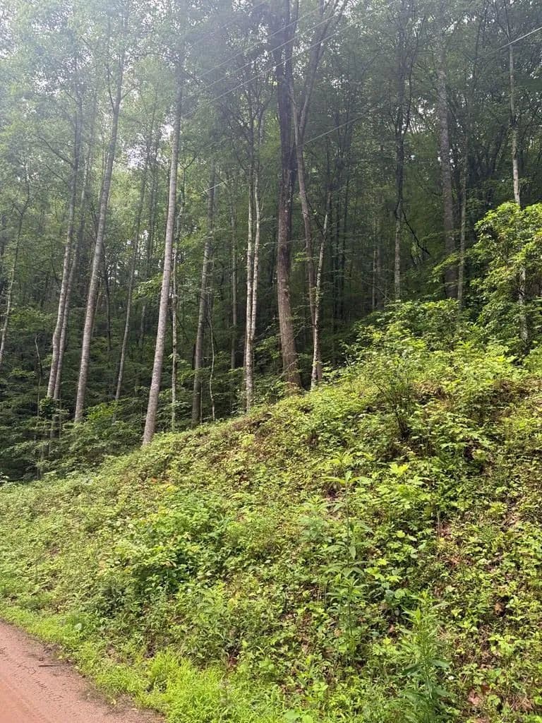 Property from 0 Corbin Hills Drive - KW